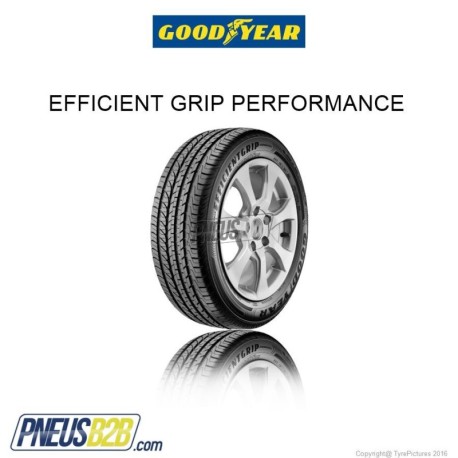 GOOD YEAR -  215/ 45 R 20 EFFICIENTGRIP PERFORMANCE R TL 'XL' 95 T